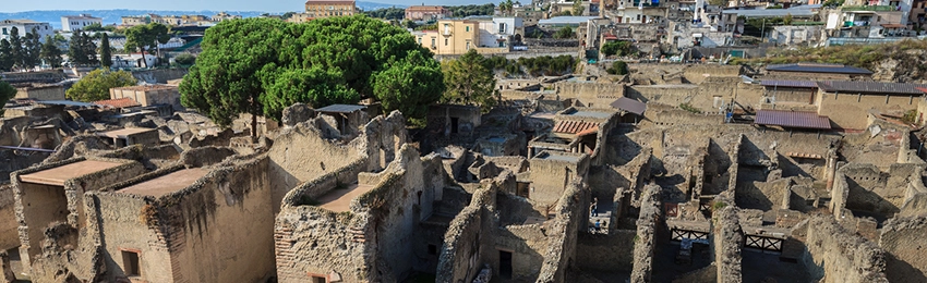 ARCHAEOLOGY AND SOCIOLOGY